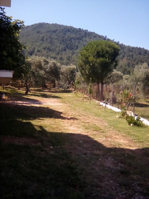 Doukas Hotel Skala Rachoni  Bagian luar foto